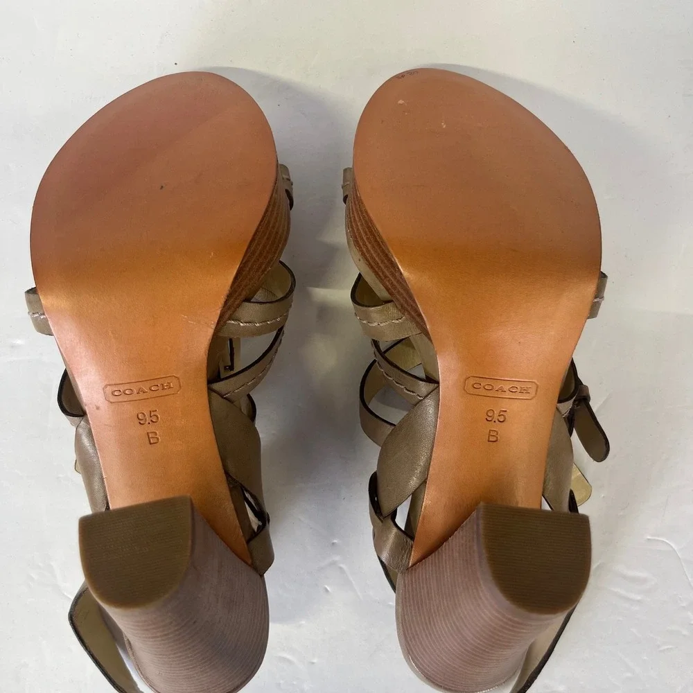 Coach Alie A0384 Taupe‎ Brown Leather Strappy Platform Block Heel Sandals 9.5B
